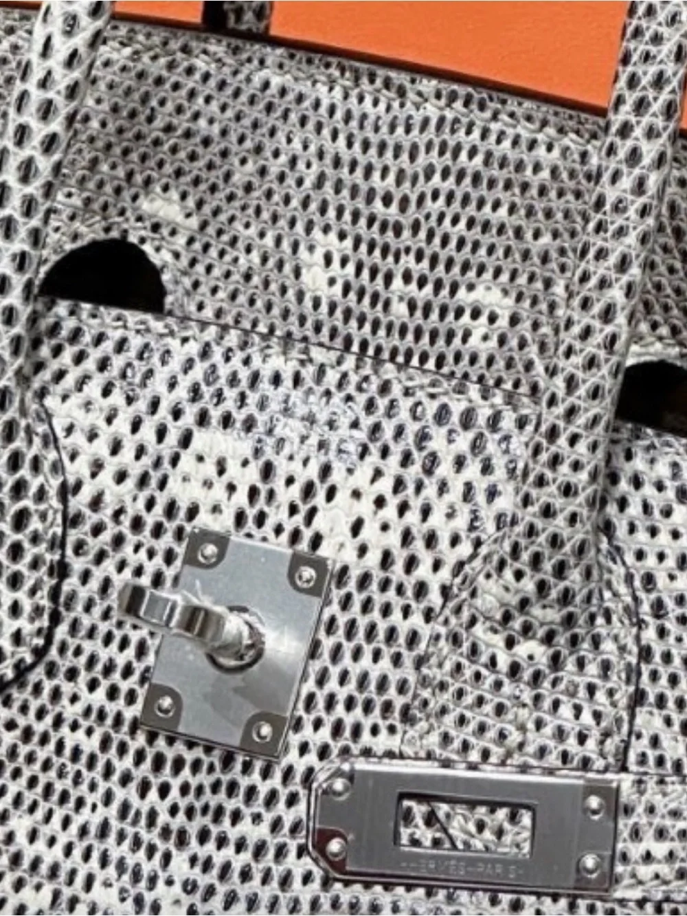 H Birkin 25 Retourne PHW gen Varanus Salvator Lizard Ring rare limited edition